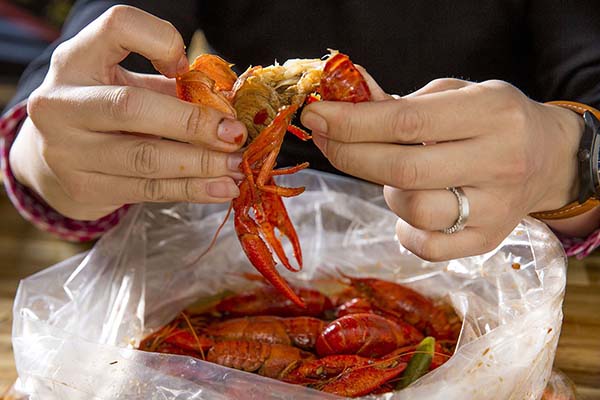 Hands pulling apart a crawfish to eat it.